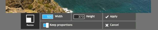 Resize image and hit apply Resize image and hit apply