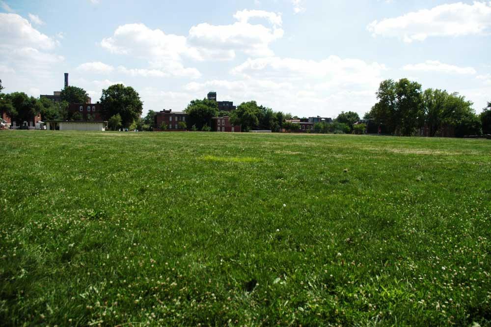 Large field in Cherokee Park