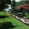 Clifton Heights Park-steps with Japanese maples