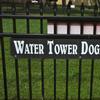 Water Tower Dog Park