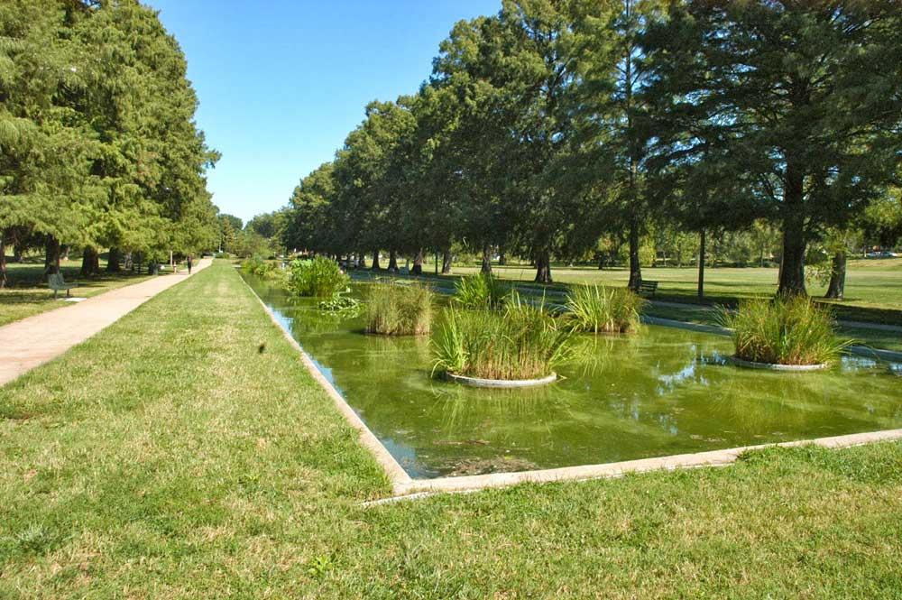 Francis Park lily pond