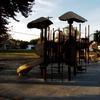 Fox Park playground