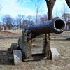 Park cannons