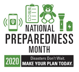 Green illustration includes a cell phone, checklist, toy, flashlight and battery and the 2020 theme..