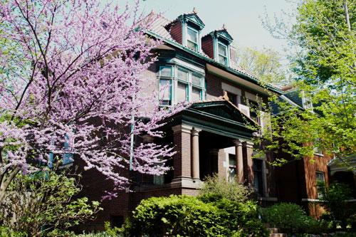 Single Residential Homes - Tower Grove East