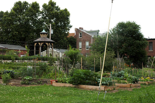 Soulard Community Garden