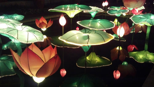 Lotus Flower